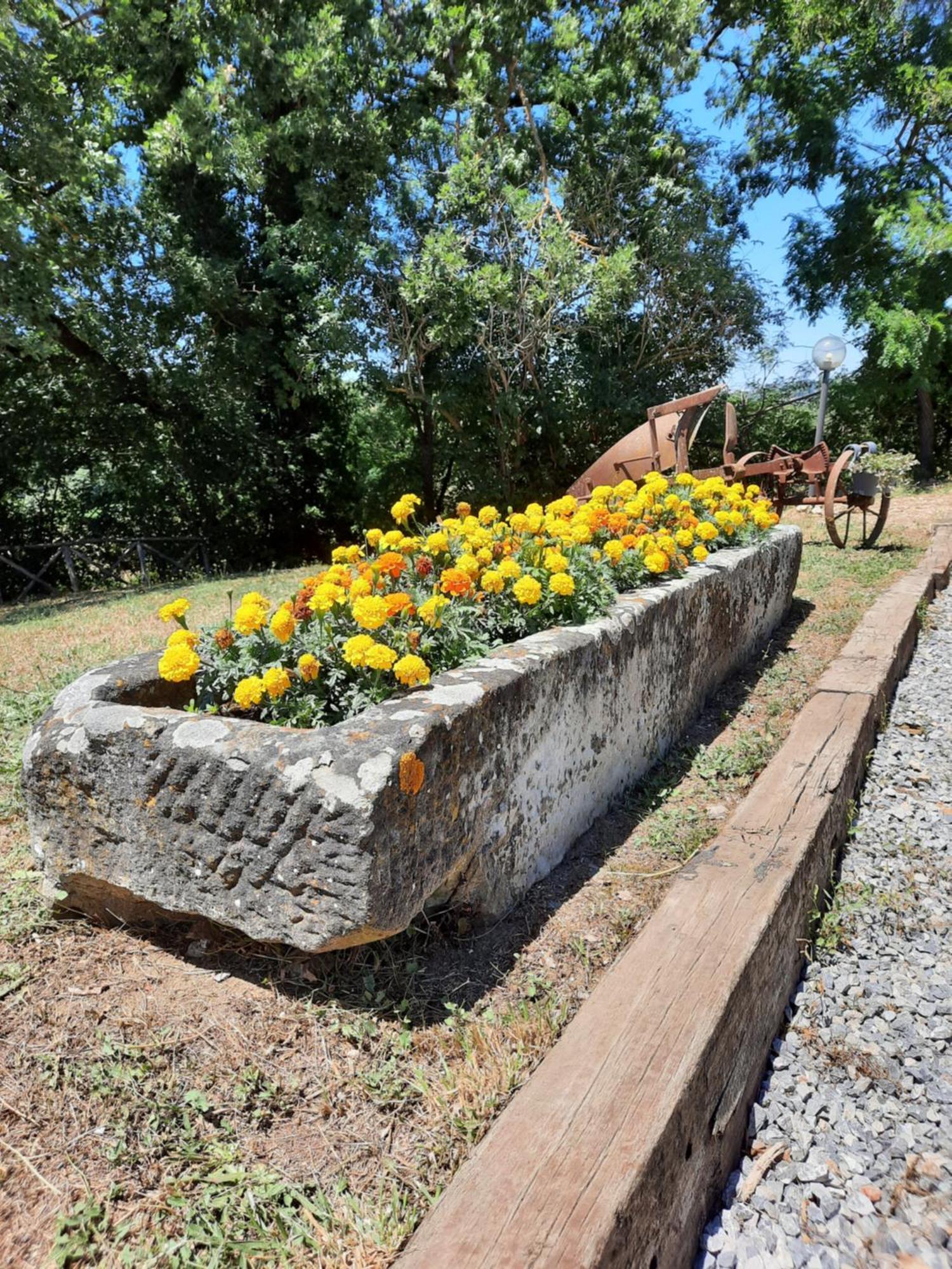 Agriturismo Podere Valdilucciole Città della Pieve Zewnętrze zdjęcie